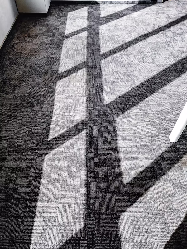 Carpet Steam Cleaning