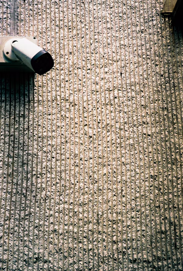 Rug Deep Shampooing