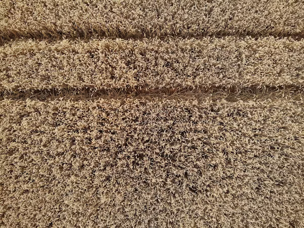 Fibre Restoration