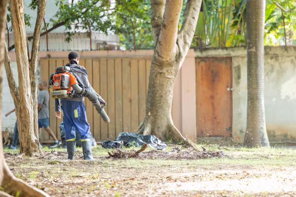 Fumigation Service