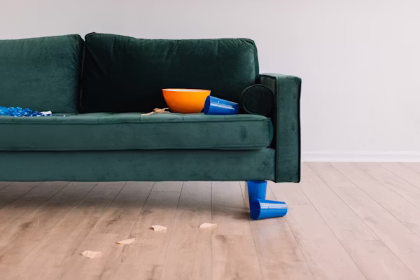 Fabric Sofa Shampooing
